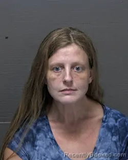 Mugshot of SHANNON DENISE PHELPS booked in Dare County, North Carolina on July 31, 2026