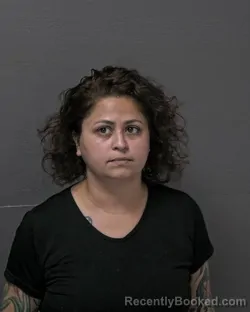 Mugshot of Shruti Ravi Patel booked in Dare County, North Carolina on October 3, 2026