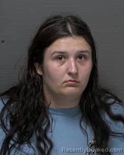 Mugshot of GRACE ANNETTE SCHWABLINE