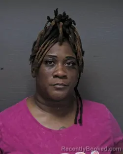 Mugshot of JESSICA SHARELL SKINNER