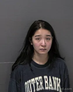 Mugshot of THITAREE THEUNGSUTTHIKARN booked in Dare County, North Carolina on June 14, 2026