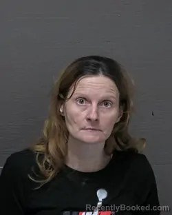Mugshot of KRISTIN ELAINE WADE