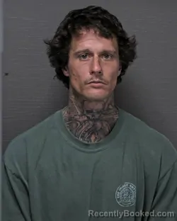 Mugshot of MICHAEL JAMES WALLACE