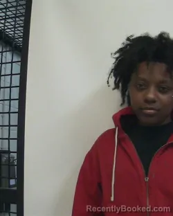 Booking photo from Davidson County, North Carolina