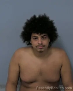 Booking photo from Davidson County, North Carolina