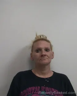 Mugshot of HEATHER PAIGE HULIN