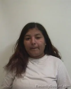 Mugshot of ARLETH TORREZ-VASQUEZ