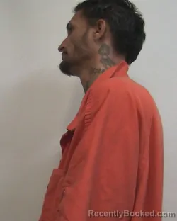 Mugshot of JONATHAN PAUL LEMMINGS