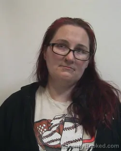 Mugshot of STORMIE LYNN BURROW booked in Davidson County, North Carolina on March 11, 2026