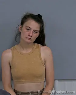 Mugshot of ASHTON NICHOLE HAMLETT booked in Davidson County, North Carolina on March 16, 2026