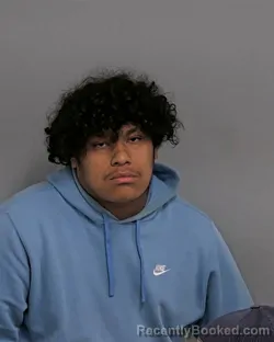 Mugshot of ANGEL CANELA booked in Davidson County, North Carolina on March 18, 2026