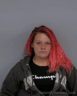 Mugshot of SHEILA BLAKE NOBLES booked in Davidson County, North Carolina on March 20, 2026