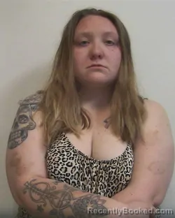 Mugshot of ALLISON NOEL PRINKEY booked in Davidson County, North Carolina on March 27, 2026