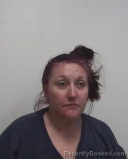 Mugshot of STACY LYNN HEMPHILL booked in Davidson County, North Carolina on March 29, 2026