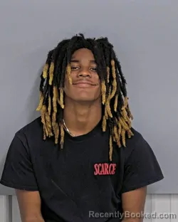 Mugshot of BRISHAWN BROWN booked in Davidson County, North Carolina on March 29, 2026