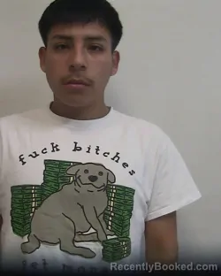 Mugshot of LUIS BRYAN HUAPAYA RAMOS booked in Davidson County, North Carolina on March 29, 2026