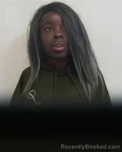 Mugshot of LACHELLE EVE JOHNSON booked in Davidson County, North Carolina on March 30, 2026