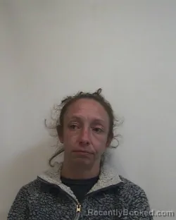 Mugshot of KEESHA CELESTE KEARNS booked in Davidson County, North Carolina on March 31, 2026