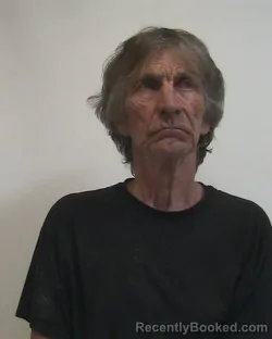 Mugshot of MICHAEL DAVID LONG booked in Davidson County, North Carolina on March 31, 2026