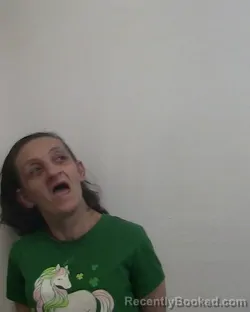 Mugshot of FRANCIS DEANNA COLLINS booked in Davidson County, North Carolina on March 31, 2026