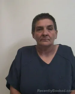 Mugshot of ANGELA DAWN STEVENSON booked in Davidson County, North Carolina on April 2, 2026