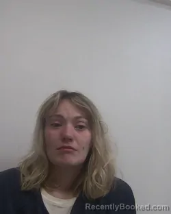 Mugshot of ALEXIS SHEA STONE booked in Davidson County, North Carolina on April 3, 2026