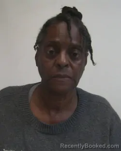 Mugshot of LISA MICHELLE BOYLE booked in Davidson County, North Carolina on April 3, 2026