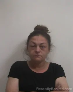 Mugshot of ADRIANA ELISA PATINO booked in Davidson County, North Carolina on April 6, 2026