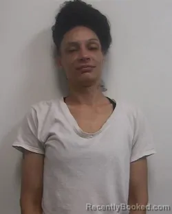 Mugshot of SANDRA NICHOLE CRAVER booked in Davidson County, North Carolina on April 6, 2026