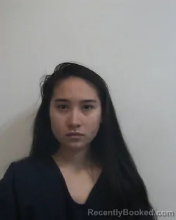 Mugshot of Angelina Han Hicks