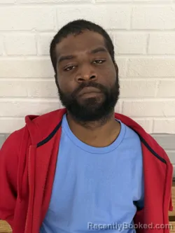 Mugshot of ALI LATOINE ARANT booked in Davidson County, North Carolina on April 28, 2026