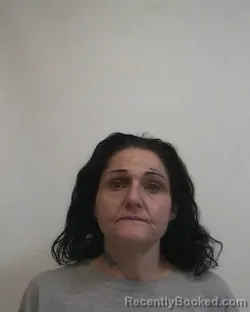 Mugshot of AMANDA GAIL HARRIS booked in Davidson County, North Carolina on April 30, 2026