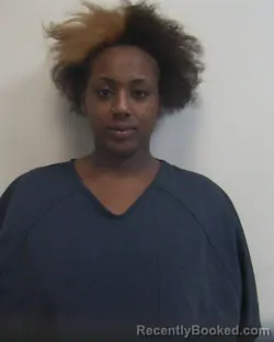 Mugshot of TARRIBIAN SIMONE MCCLELLAN booked in Davidson County, North Carolina on May 4, 2026