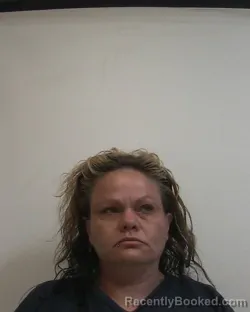 Mugshot of MICHELLE MARIE PETERSON booked in Davidson County, North Carolina on May 27, 2026