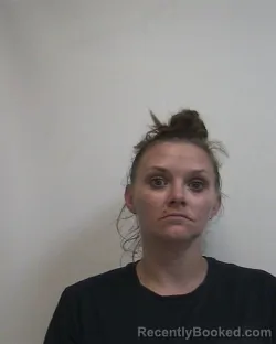 Mugshot of AMBER LEA GRAVELY booked in Davidson County, North Carolina on July 4, 2026