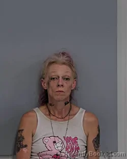 Mugshot of BRANDY NACOLE PRESNELL booked in Davidson County, North Carolina on July 9, 2026