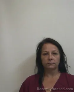 Mugshot of ASHLEY NICHOLE HELTON booked in Davidson County, North Carolina on July 17, 2026