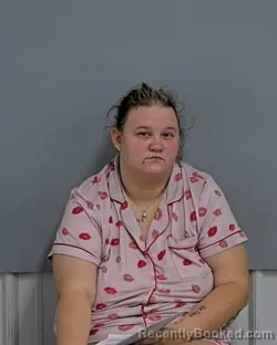 Mugshot of LEIGH ANN TELFORD booked in Davidson County, North Carolina on July 29, 2026