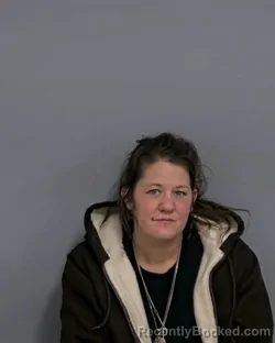 Mugshot of Jamie Danielle Swink booked in Davidson County, North Carolina on October 26, 2026