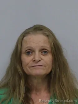 Mugshot of CRYSTAL DEANNA TILLEY HARRIS booked in Davie County, North Carolina on March 23, 2026