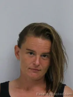 Mugshot of SHANTELLE MARIE PAINTER booked in Davie County, North Carolina on April 30, 2026