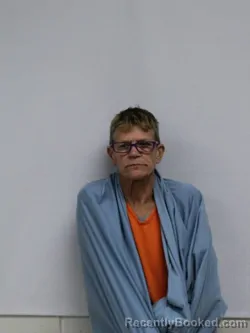 Mugshot of DAWN RENEE HENNINGS