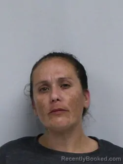 Mugshot of Tina Marie Craig booked in Davie County, North Carolina on August 28, 2026