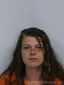 Mugshot of KARRIE DIANE LEE booked in Davie County, North Carolina on June 1, 2026