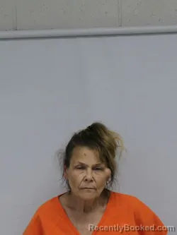 Mugshot of WENDY BARRINEAU HOUSE