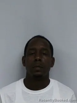 Mugshot of Dominique Gallant Diaz booked in Davie County, North Carolina on August 28, 2026