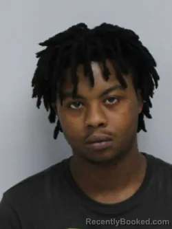 Mugshot of ZYQUAVION TASHAWN LAMONT RANKIN