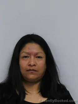 Mugshot of ANA ROSA CARLOS DIAZ