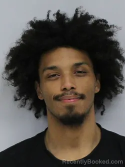 Mugshot of SHELTON NARAYAN BLAKELY