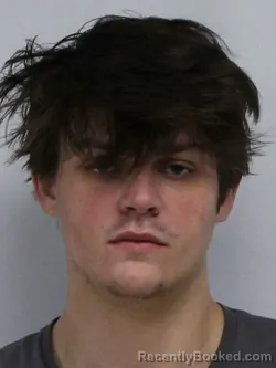 Mugshot of AUSTIN TAYLOR BLANKENSHIP